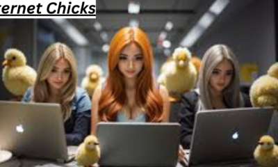 Internet Chicks: Exploring the Modern Online Persona