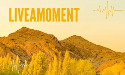 Unveiling the Magic of LiveaMoment.org