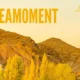 Unveiling the Magic of LiveaMoment.org