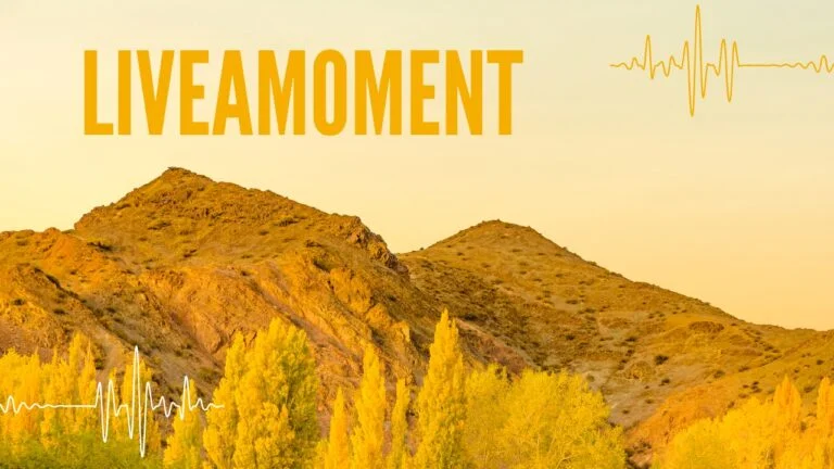 Unveiling the Magic of LiveaMoment.org