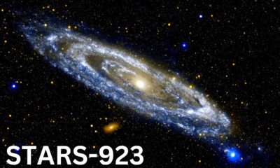 Exploring the Wonders of stars-923