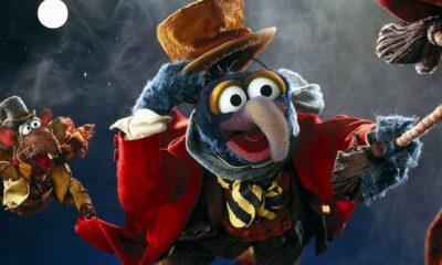 Muppet with the Long Hooked Beak: 5 Fascinating Facts