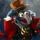 Muppet with the Long Hooked Beak: 5 Fascinating Facts