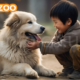 TickZoo: Revolutionizing the Pet Care Industry