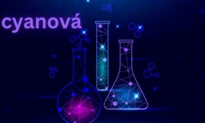 The Revolutionary Journey of Cyanová: A New Era in Innovation