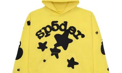 What Makes the sp5der hoodie a Fashion Icon