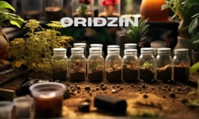 Oridzin: A Comprehensive Exploration of its Benefits and Applications