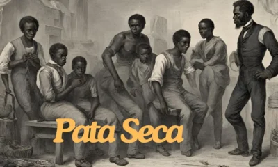 Pata Seca: Understanding the Origins, Usage, and Cultural Significance