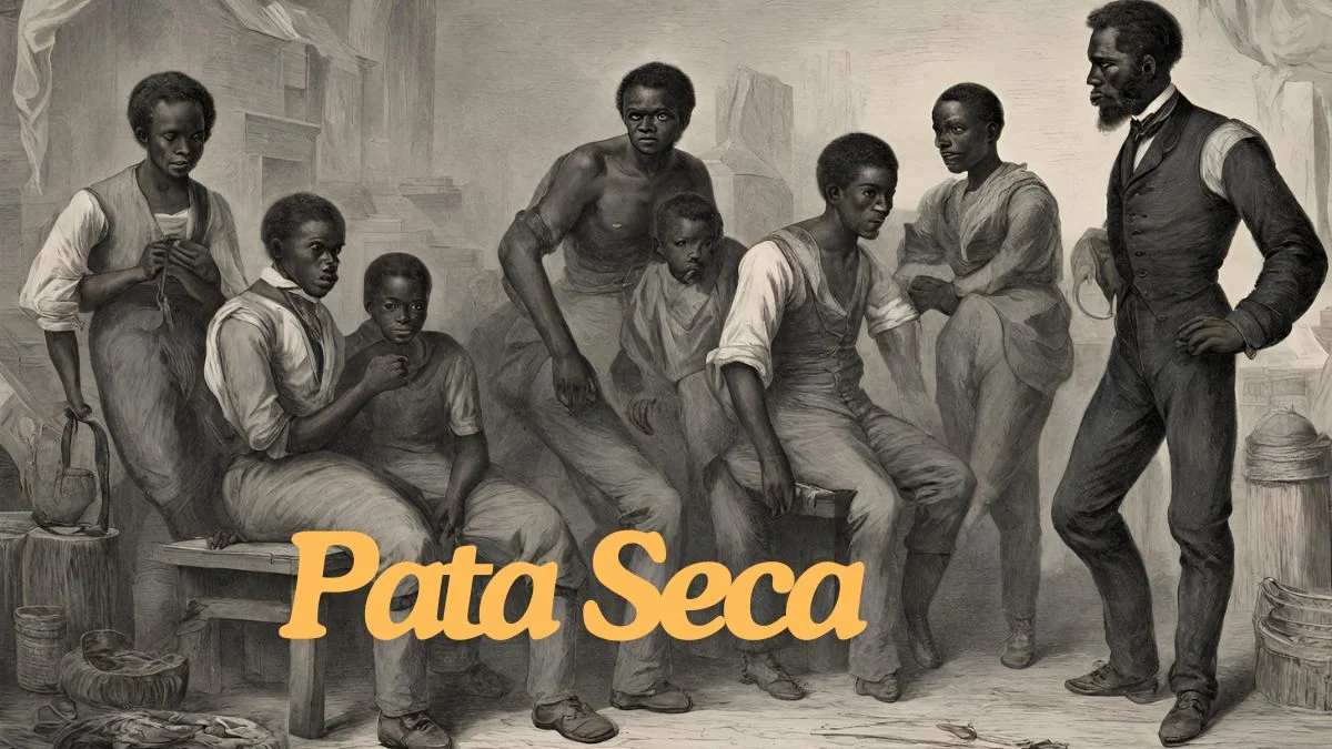 Pata Seca: Understanding the Origins, Usage, and Cultural Significance