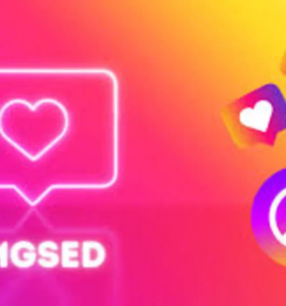 imgSED: Revolutionizing Your Image Management